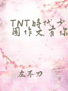 TNT时代少年团作文有你真好