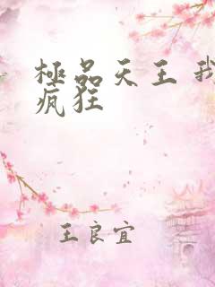 极品天王 我本疯狂