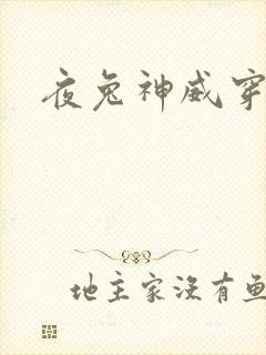 夜兔神威穿越