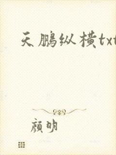 天鹏纵横txt