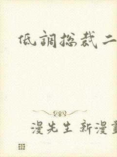 低调总裁二手妻