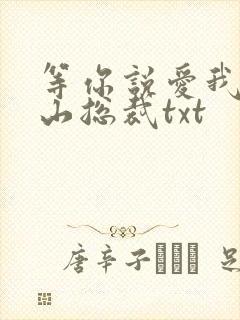 等你说爱我之冰山总裁txt