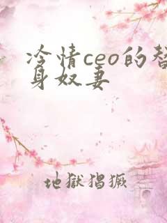 冷情ceo的替身奴妻