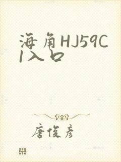 海角HJ59C1入口