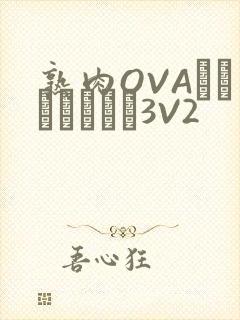 熟肉OVAちゃんはしたい3V2