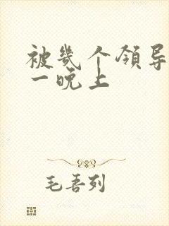 被几个领导玩弄一晚上