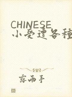 CHINESE小受遭各种打桩