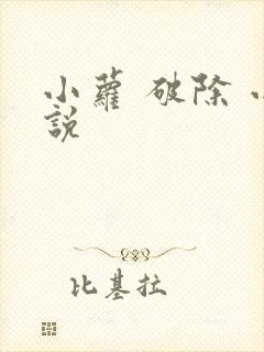 小萝 破除 小说