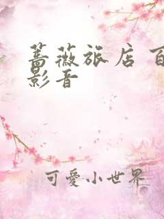 蔷薇旅店 百度影音