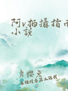 阿v拍摄指南说小说