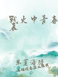 战火中青春演员表