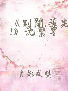 《别闹,薄先生!》沈繁星