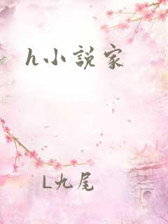 h小说家