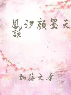凤汐颜墨天问小说