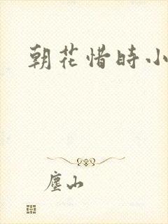 朝花惜时小说
