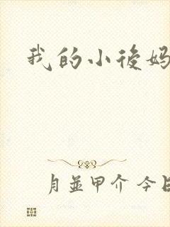 我的小后妈小说