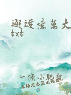 邂逅亿万大人物txt