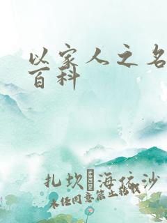 以家人之名百度百科