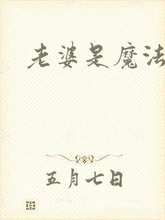 老婆是魔法少女