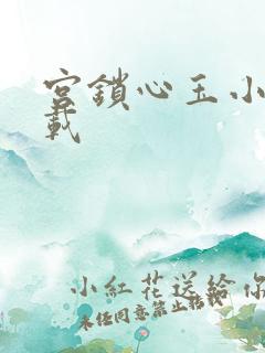 宫锁心玉小说下载