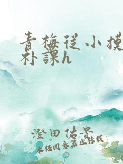 青梅从小摸到大补课h