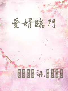 爱婿临门