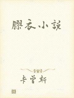 胶衣小说