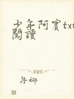 少年阿宾txt阅读