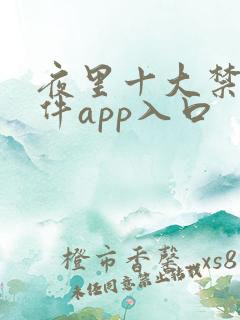 夜里十大禁用软件app入口