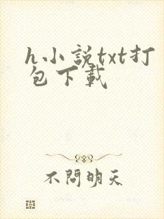 h小说txt打包下载