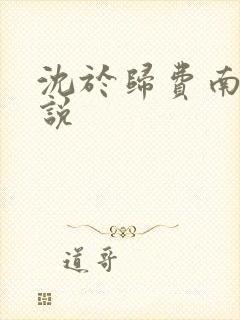 沈于归费南城小说