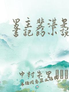 男主裴湛是省委书记的小说