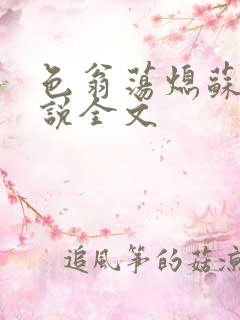 色翁荡熄苏钥小说全文