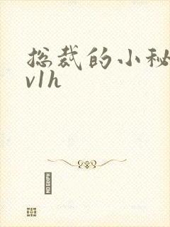 总裁的小秘书1v1h