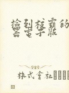 捡到校霸的遥控器电子版