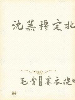 沈芜穆定北小说