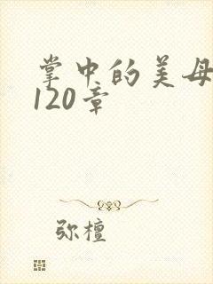 掌中的美母版主120章