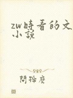 zw时看的文案小说