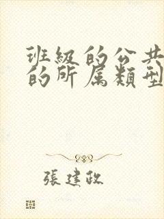 班级的公共小0的所属类型