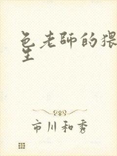 色老师的猥琐人生