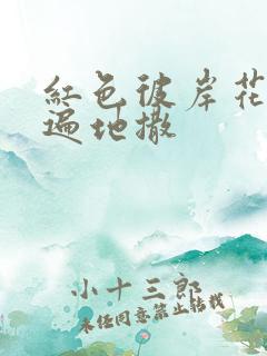 红色彼岸花花瓣遍地撒