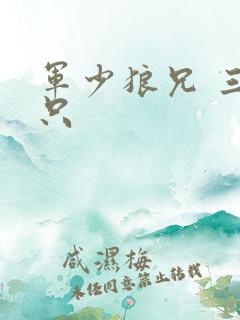 军少狼兄 三两只