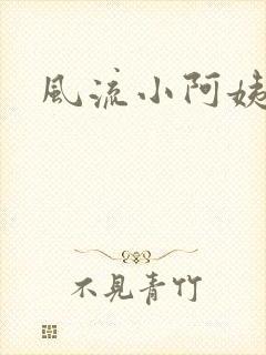 风流小阿姨