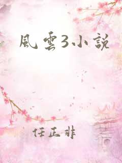风云3小说