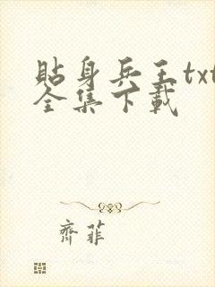 贴身兵王txt全集下载
