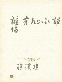 谁有hs小说网站