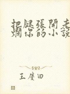 把腿张开老子臊烂你的小说