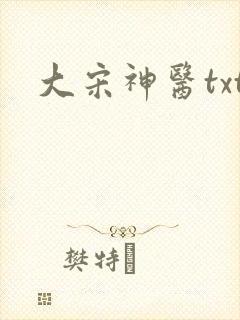 大宋神医txt
