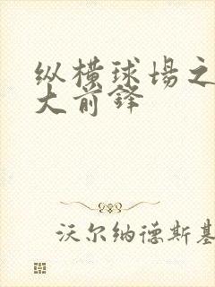 纵横球场之暴力大前锋