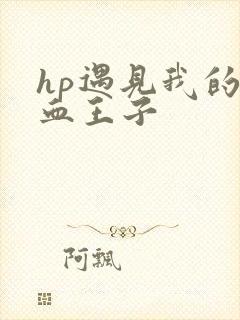 hp遇见我的混血王子